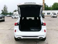 Neu Ford Kuga ST-Line 151 PS (111 kW) 2025 Frozen white SUV