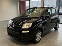 Neu Fiat Panda 65 PS (47 kW) 2026 Cinema schwarz Kleinwagen