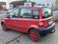 Gebraucht Fiat Panda Active 54 PS (39 kW) 2006 Rot Kleinwagen
