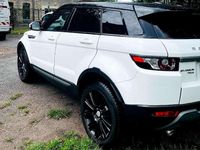 Gebraucht Land Rover Range Rover evoque SE Dynamic 150 PS (110 kW) 2015 Weiß SUV