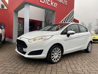 Gebraucht Ford Fiesta Trend 101 PS (74 kW) 2016 Frozen white Kleinwagen