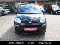 Neu Fiat Panda 69 PS (50 kW) 2025 Schwarz Kleinwagen