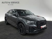Gebraucht Audi Q2 S-Line 190 PS (139 kW) 2024 Daytonagrau perleffekt SUV