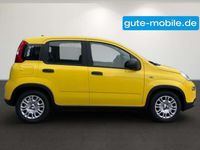 Gebraucht Fiat Panda 69 PS (50 kW) 2024 Gelb Kleinwagen