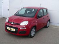 Neu Fiat Panda 69 PS (50 kW) 2025 Rot Kleinwagen
