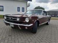Gebraucht Ford V8 Fastback 200 PS (147 kW) 1966 Rot