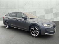 Gebraucht Skoda Octavia Tour 150 PS (110 kW) 2025 Grau Kombi