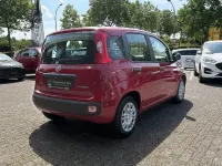 Neu Fiat Panda Pop 65 PS (47 kW) 2026 Rot Kleinwagen