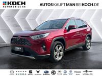 Gebraucht Toyota RAV4 Lounge 197 PS (144 kW) 2019 Rot SUV