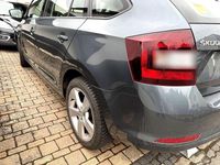 Gebraucht Skoda Rapid Cool Edition 95 PS (69 kW) 2018 Grau Kleinwagen