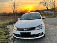 Gebraucht VW Eos 122 PS (89 kW) 2014 Weiß Cabrio