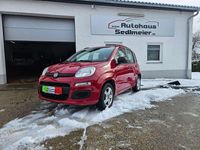 Gebraucht Fiat Panda 69 PS (50 kW) 2013 Rot Kleinwagen
