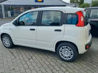 Neu Fiat Panda 69 PS (50 kW) 2025 Weiß Kleinwagen