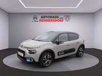 Używany Citroën C3 110 KM (80 kW) 2023 Beżowy Hatchback