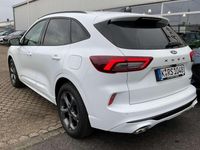 Gebraucht Ford Kuga ST-Line 179 PS (131 kW) 2025 Weiss SUV