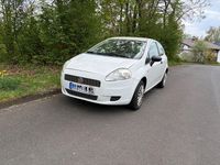 Gebraucht Fiat Punto Active 65 PS (47 kW) 2009 Weiß Kleinwagen