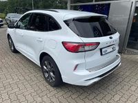 Gebraucht Ford Kuga ST-Line X 224 PS (164 kW) 2020 Frostweiss SUV