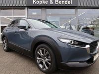 gebraucht Mazda CX-30 Automatik AWD Selection AWD