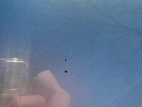 Gebraucht Audi A4 190 PS (139 kW) 2018 Silber Kombi