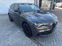 Gebraucht Alfa Romeo Stelvio Quadrifoglio 519 PS (381 kW) 2025 Grau SUV