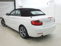 gebraucht BMW 220 i Cabrio Steptronic Advantage Navi,Windschot