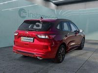 Gebraucht Ford Kuga 120 PS (88 kW) 2024 Rot SUV
