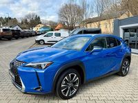 Gebraucht Lexus UX 250h 184 PS (135 kW) 2024 Blau SUV
