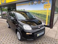 Gebraucht Fiat Panda 69 PS (50 kW) 2024 Cinema schwarz Kleinwagen