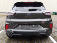 Gebraucht Ford Puma ST 200 PS (147 kW) 2023 Braun SUV