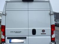 Gebraucht Fiat Ducato 160 PS (117 kW) 2021 Weiß Van