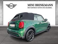 Gebraucht Mini Cooper Cabriolet Classic 136 PS (100 kW) 2023 Grün Cabrio