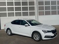 Gebraucht Skoda Superb Ambition 150 PS (110 kW) 2023 Moonweiss metallic Limousine