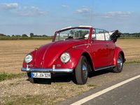 Gebraucht VW Käfer 34 PS (25 kW) 1964 Rot Cabrio
