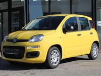 Neu Fiat Panda Icon 65 PS (47 kW) 2026 Positano gelb Kleinwagen