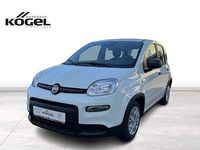 Gebraucht Fiat Panda 70 PS (51 kW) 2024 Weiß (gelato weiss) Kleinwagen