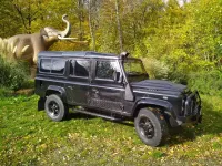 Gebraucht Land Rover Defender 122 PS (89 kW) 2010 Schwarz SUV