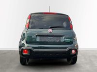 Neu Fiat Panda Cross 65 PS (47 kW) 2026 Gruen Kleinwagen