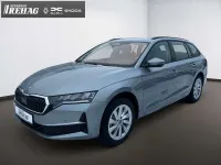 Neu Skoda Octavia Selection 116 PS (85 kW) 2025 Silber Kombi