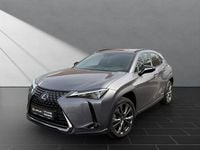 Gebraucht Lexus UX 250h 184 PS (135 kW) 2021 Grau SUV
