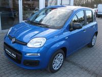 Neu Fiat Panda Icon 65 PS (47 kW) 2026 Blau Kleinwagen