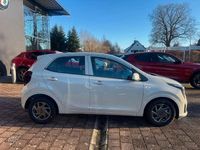 Neu Kia Picanto 68 PS (50 kW) 2026 Beige Kleinwagen