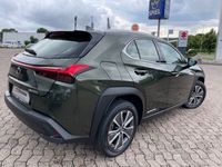 Gebraucht Lexus UX 300e Executive Line 150 kW (204 PS) 2021 Grün SUV