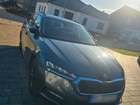 Gebraucht Skoda Octavia 116 PS (85 kW) 2021 Grau Kombi