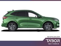 Neu Ford Kuga ST-Line 186 PS (136 kW) 2026 Grün SUV