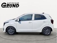 Neu Kia Picanto Vision 68 PS (50 kW) 2026 Weiß (schneeweiss) Kleinwagen