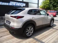 Gebraucht Mazda CX-30 Exclusive 140 PS (102 kW) 2025 Beige SUV