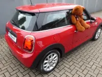 Gebraucht Mini ONE 102 PS (75 kW) 2020 Rot Kleinwagen