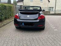 gebraucht VW Beetle Beetle TheCabriolet 1.2 TSI