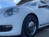 gebraucht VW Beetle Cabriolet 1.2 TSI BMT Sitzheizung/Tempomat TOP!