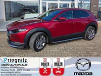 Gebraucht Mazda CX-30 Selection 150 PS (110 kW) 2021 Rot SUV